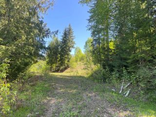 Photo 32: 3134 Mabel Lake Road in Lumby: Vacant Land for sale : MLS®# 10274152