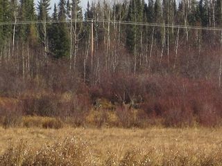 Photo 26: NW 24-54 RR 131: Niton Junction Rural Land for sale (Edson)  : MLS®# 32590