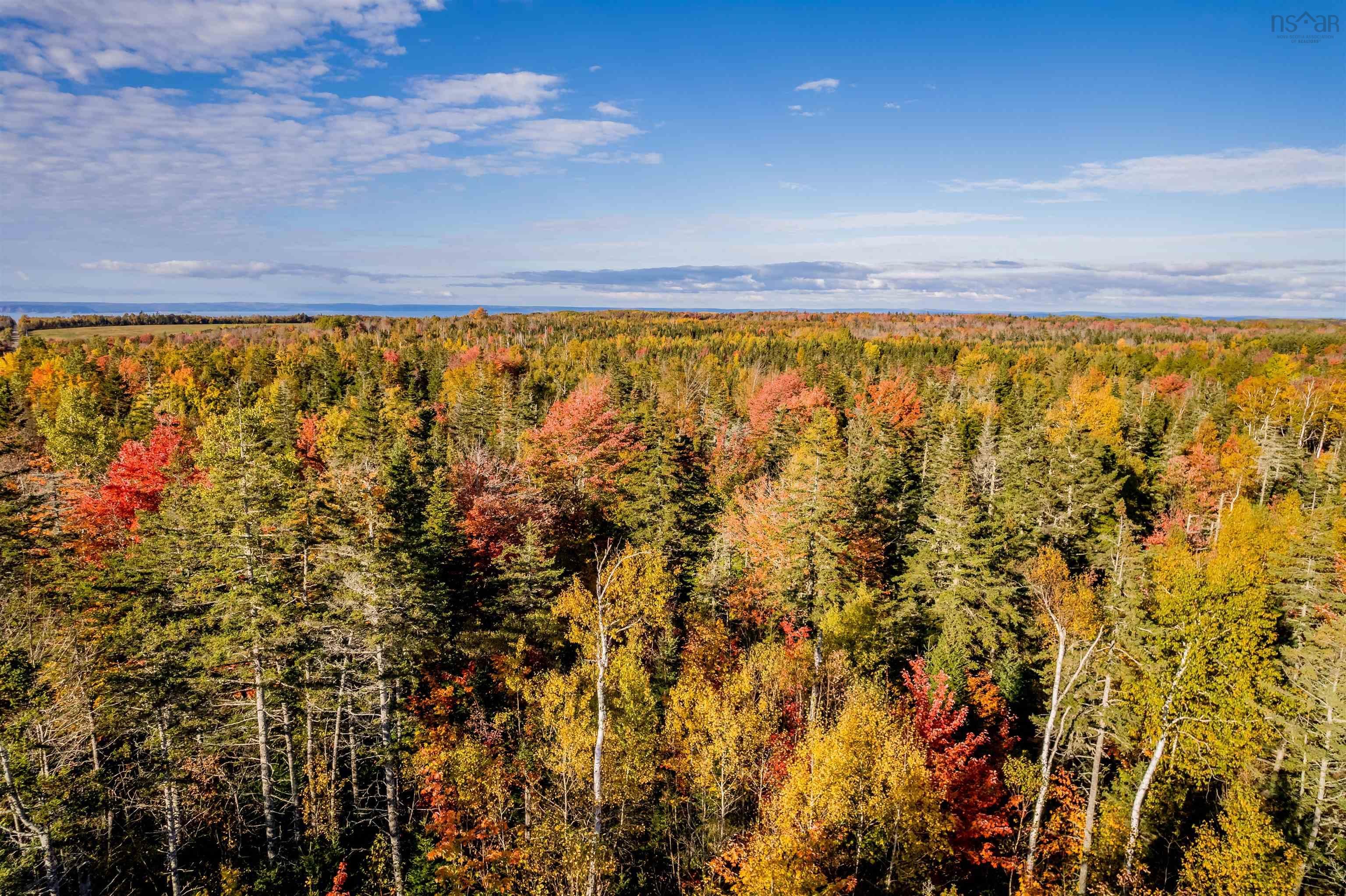Main Photo: Lot 9 Huntington Point Road in Mountain Front: Kings County Vacant Land for sale (Annapolis Valley)  : MLS®# 202300802