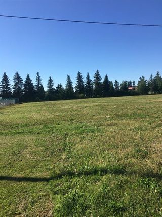 Photo 5: 4819 57 Ave: Eckville Industrial Land for sale : MLS®# A1193687