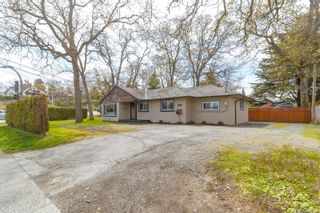 Photo 26: 3938 Cedar Hill Cross Rd in Saanich: SE Maplewood House for sale (Saanich East)  : MLS®# 940806