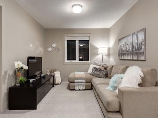 Photo 30: 34 EVANSVIEW Court NW in Calgary: Evanston Detached for sale : MLS®# C4226222
