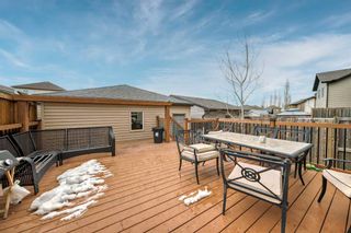 Photo 29: 12 Panora Way NW in Calgary: Panorama Hills Semi Detached (Half Duplex) for sale : MLS®# A2120770