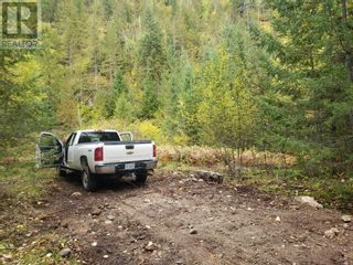 Photo 38: 7788 Trans Canada Highway in Revelstoke: Vacant Land for sale : MLS®# 10273662