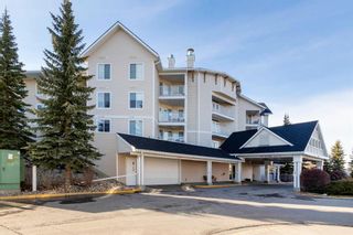 Photo 29: 411 305 1 Avenue NW: Airdrie Apartment for sale : MLS®# A1190480
