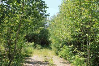 Photo 1: Lot 4 Morganville Road in Morganville: 401-Digby County Vacant Land for sale (Annapolis Valley)  : MLS®# 202012965