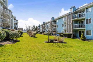 Photo 12: 209 11510 225 Street in Maple Ridge: East Central Condo for sale : MLS®# R2446932