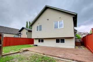 Photo 44: 19 Wiley Crescent: Red Deer Detached for sale : MLS®# A1227655