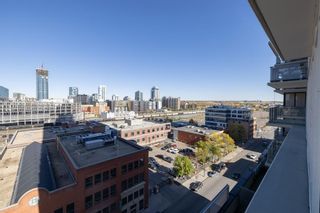 Photo 29: 909 1122 3 Street SE in Calgary: Beltline Apartment for sale : MLS®# A2032316