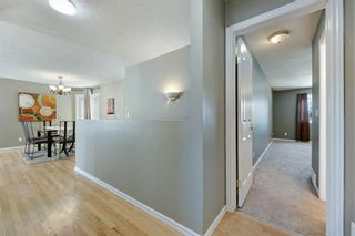 Photo 27: 331 19 Street NE in Calgary: Mayland Heights Detached for sale : MLS®# A2011674