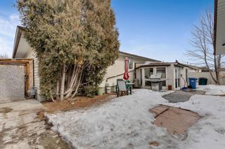 Photo 33: 444 Whiteland Drive NE in Calgary: Whitehorn Detached for sale : MLS®# A1076099