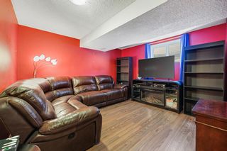Photo 22: 246 Sagewood Gardens SW: Airdrie Detached for sale : MLS®# A2027851