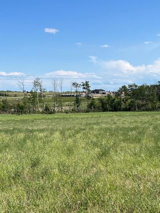 Photo 7: NW-22-71-7-W6 ...: Dimsdale Agriculture for sale : MLS®# A2053375