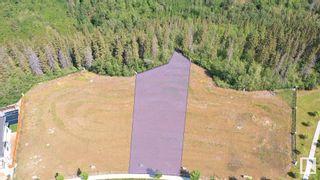 Photo 10: 4163 CAMERON HEIGHTS Point in Edmonton: Zone 20 Vacant Lot/Land for sale : MLS®# E4324762