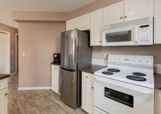 Photo 11: 205 3912 Stanley Road SW in Calgary: Parkhill Apartment for sale : MLS®# A2120276
