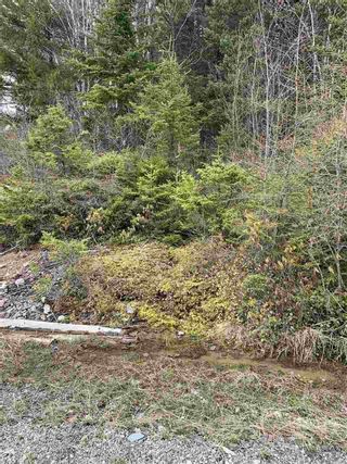 Photo 2: LOT 11-4 Dryden Lake Road in Glengarry Station: 108-Rural Pictou County Vacant Land for sale (Northern Region)  : MLS®# 202008641