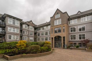 Photo 1: 407 20200 56 Avenue in Langley: Langley City Condo for sale in "The Bentley" : MLS®# R2356698
