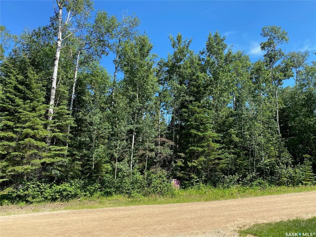 Main Photo: 2 Frances Place in Paddockwood: Lot/Land for sale (Paddockwood Rm No. 520)  : MLS®# SK902538