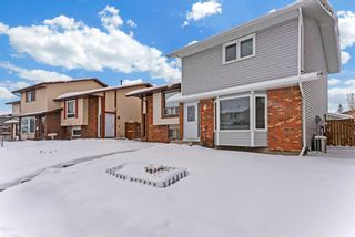 Main Photo: 43 Castlebrook Way NE in Calgary: Castleridge Semi Detached (Half Duplex) for sale : MLS®# A2117247