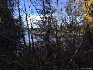 Photo 16: 450 Coal Harbour Rd in Coal Harbour: NI Port Hardy Land for sale (North Island)  : MLS®# 943576