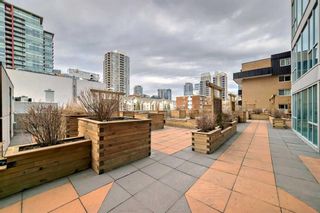 Photo 42: 204 188 15 Avenue SW in Calgary: Beltline Apartment for sale : MLS®# A2121458