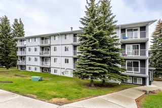 Main Photo: 106C 5601 Dalton Drive NW in Calgary: Dalhousie Apartment for sale : MLS®# A2134593
