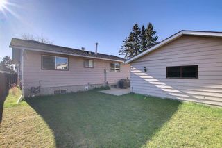 Photo 49: 636 Whitehorn Way NE in Calgary: Whitehorn Detached for sale : MLS®# A1215899