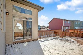 Photo 40: 34 Panamount Bay NW in Calgary: Panorama Hills Detached for sale : MLS®# A2125349