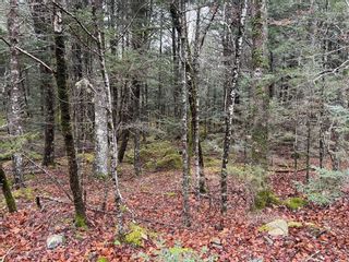 Photo 2: Lot 30 Bridle Path in Labelle: 406-Queens County Vacant Land for sale (South Shore)  : MLS®# 202325095