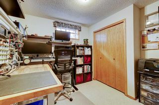 Photo 26: 320 Meadowbrook Bay SE: Airdrie Detached for sale : MLS®# A2090316