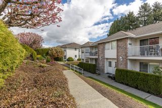 Photo 1: 35 2938 TRAFALGAR Street in Abbotsford: Central Abbotsford Townhouse for sale : MLS®# R2867307