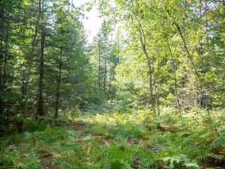 Photo 5: Lot 1 HEDSTROM ROAD in Crawford Bay: Vacant Land for sale : MLS®# 2467733