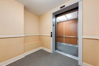 Photo 3: 302 317 19 Avenue SW in Calgary: Mission Apartment for sale : MLS®# A2128598