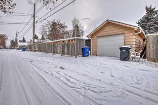 Photo 44: 4508 Dalhart Road NW in Calgary: Dalhousie Detached for sale : MLS®# A2101730