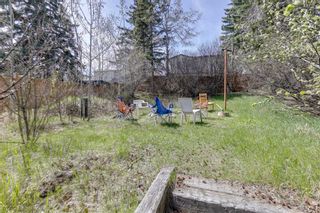 Photo 7: 1323 16 Street NW in Calgary: Hounsfield Heights/Briar Hill Detached for sale : MLS®# A2130589