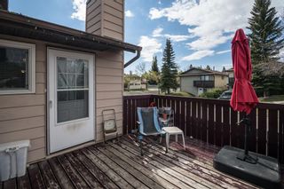 Photo 28: 35 Berkshire Road NW in Calgary: Beddington Heights Detached for sale : MLS®# A1224862