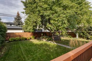 Photo 39: 2233 26A Street SW in Calgary: Killarney/Glengarry Detached for sale : MLS®# A2002494