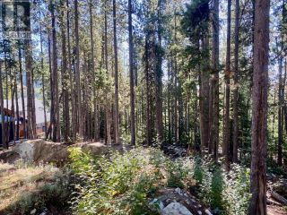 Photo 2: 290 COUGAR Road in Oliver: Vacant Land for sale : MLS®# 201269
