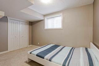 Photo 25: 170 Evanspark Circle NW in Calgary: Evanston Detached for sale : MLS®# A2050396