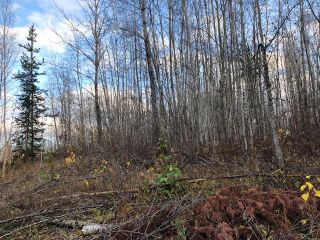 Photo 4: LT 15- 20 22ND Avenue: Hazelton Land for sale in "SOUTH HAZELTON" (Smithers And Area (Zone 54))  : MLS®# R2447716