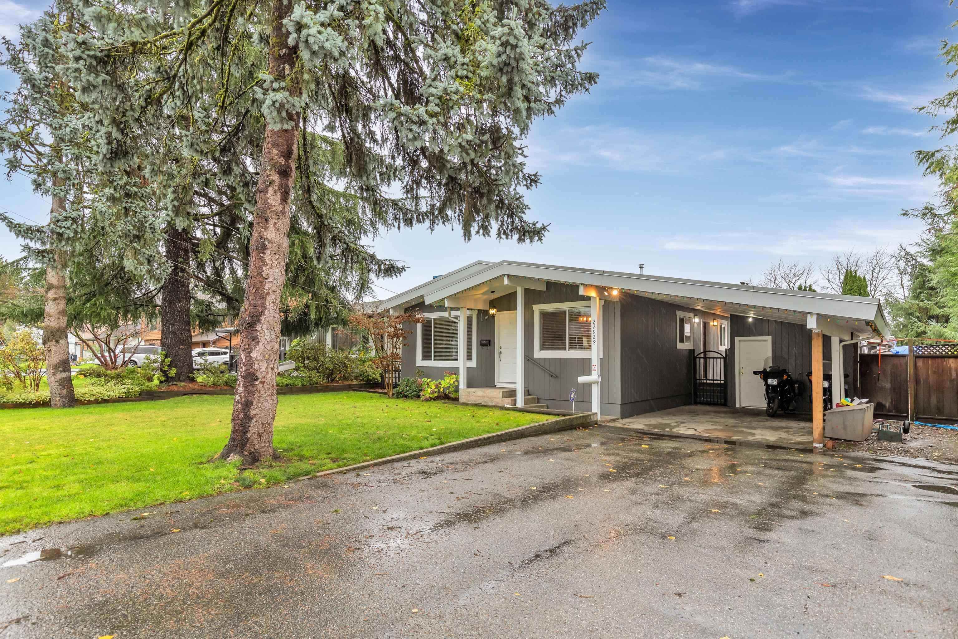 Main Photo: 22928 117 Avenue in Maple Ridge: East Central House for sale : MLS®# R2747751