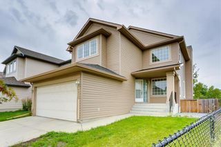 Photo 3: 250 MARTHA'S Manor NE in Calgary: Martindale Detached for sale : MLS®# C4267233