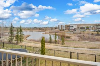 Photo 34: 249 Walden Square SE in Calgary: Walden Detached for sale : MLS®# A2120967