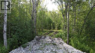 Photo 2: 335 4th Line in Gordon: Vacant Land for sale : MLS®# 2112596