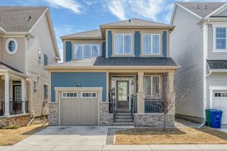 Photo 1: 133 Windrow Link SW: Airdrie Detached for sale : MLS®# A2043032