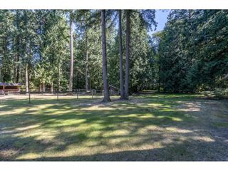 Photo 37: 2186 198 Street in Langley: Brookswood Langley House for sale : MLS®# R2489409