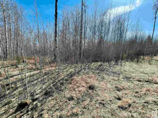 Photo 4: 22 Village West: Rural Wetaskiwin County Vacant Lot/Land for sale : MLS®# E4338203