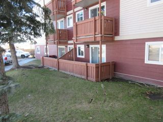 Photo 7: 0 16 Flett Crescent: Airdrie Apartment for sale : MLS®# A2129949
