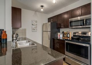 Photo 6: 4106 1317 27 Street SE in Calgary: Albert Park/Radisson Heights Apartment for sale : MLS®# A2049354