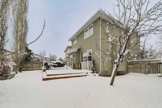 Photo 32: 177 Citadel Estates Terrace NW in Calgary: Citadel Detached for sale : MLS®# A2125289